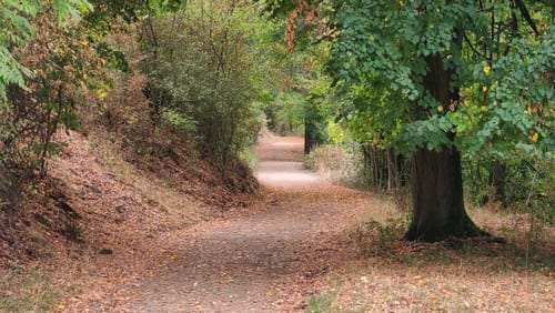 Amöneburg Rundweg