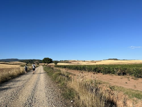 2023-best-10-walking-trails-in-spain-alltrails