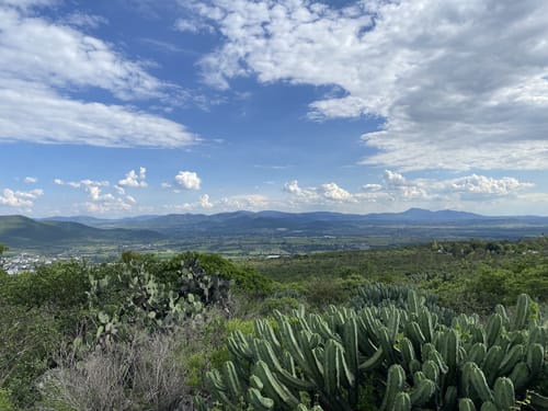 Las mejores rutas de MTB en Parque Nacional El Cimatario en 2023