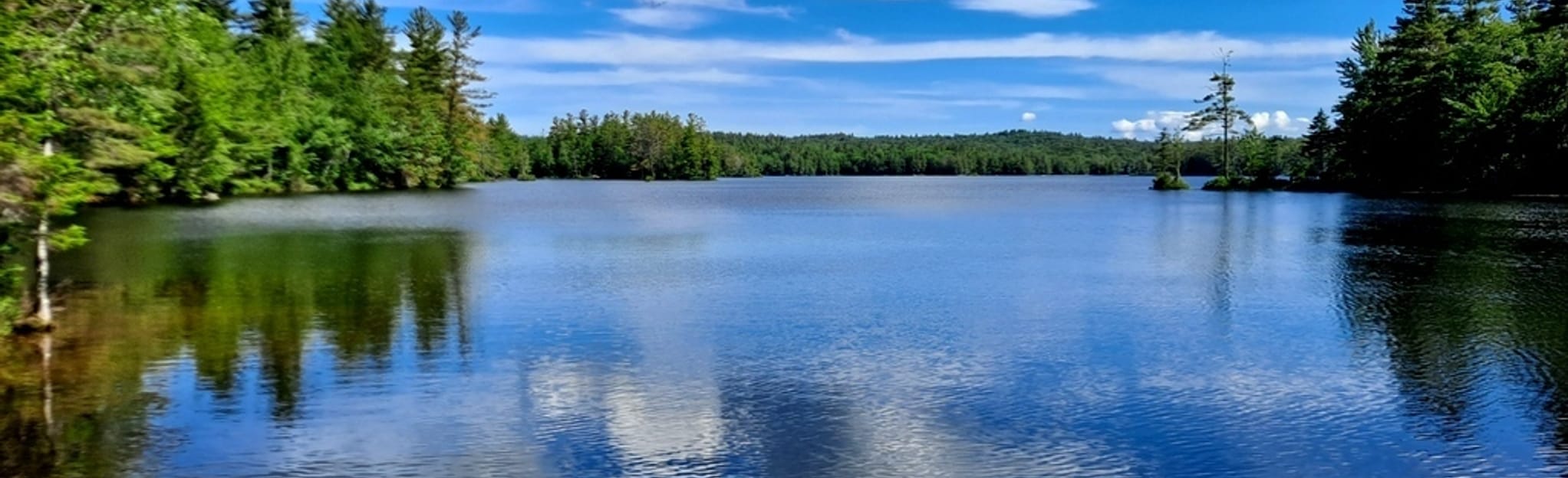 Grafton Pond Paddle Route 17 Reviews, Map New Hampshire AllTrails