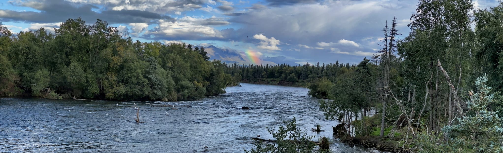 AllTrails Brooks Falls Trail 10 Reviews, Map Alaska