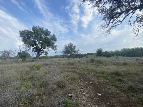 2021 Wildflower Guide — Friends Of Government Canyon