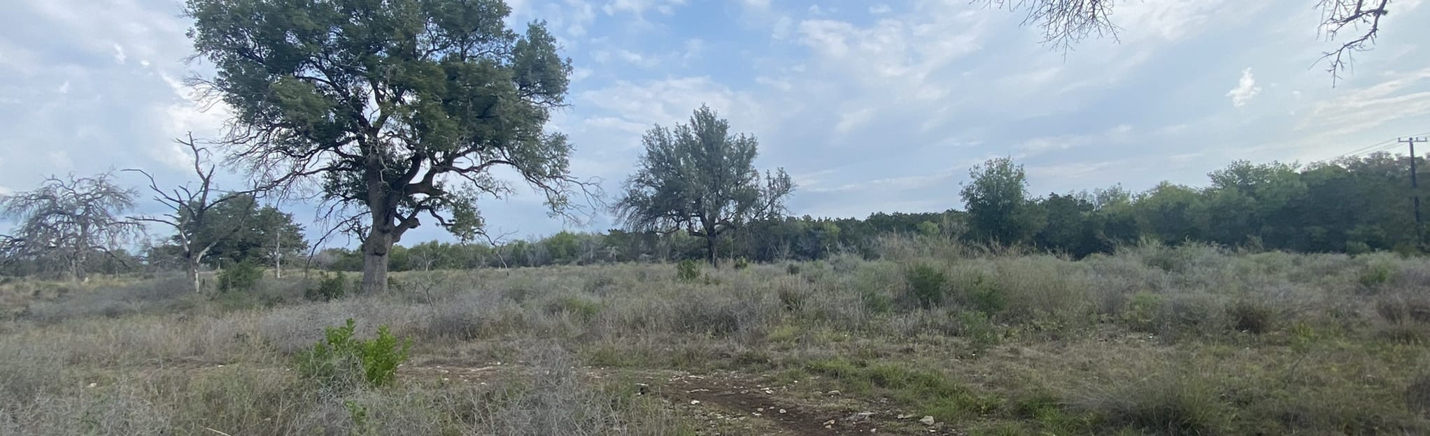 Lytle's Loop Trail 429 Reviews, Map Texas AllTrails