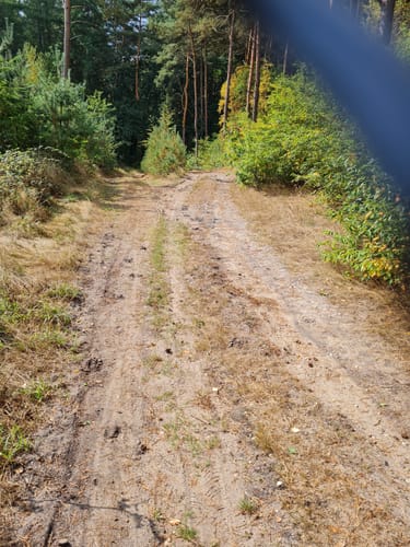 Hünenweg Etappe 6: Restruper Hünengrab - Stift Börstel