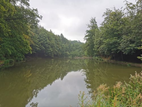 Vom Bensberger Schloss nach Kaltenbroich