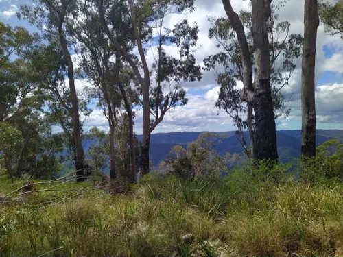 10 Best Hikes and Trails in Oxley Wild Rivers National Park AllTrails