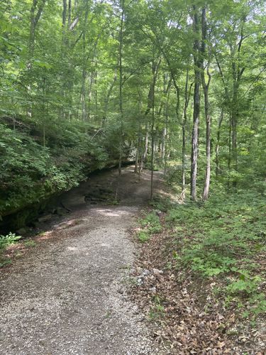 Best Trails in Matthiessen State Park | AllTrails