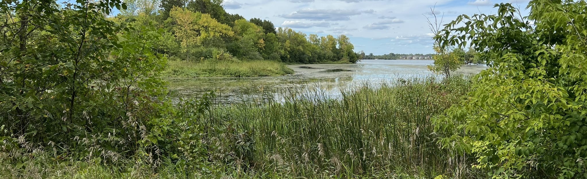 Centerville Lake via Golf Course Loop, Minnesota 279 Reviews, Map