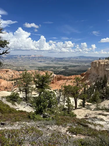 Bryce canyon hotsell backpacking trips