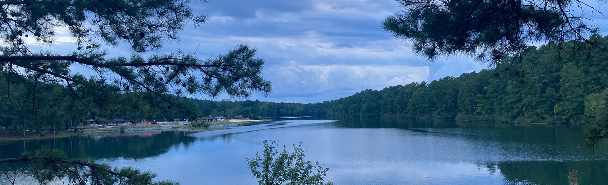 Foothills, Rattlesnake, Foreplay and Mr.Toad Loop 38 Reviews, Map