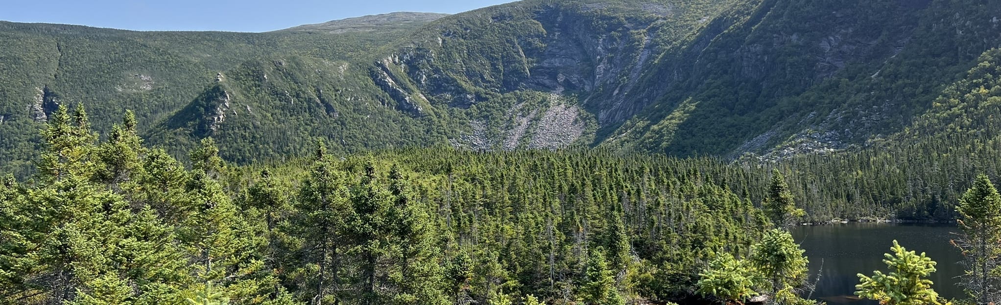 Davis Pond from Russell Pond via Northwest Basin Trail, Maine 9