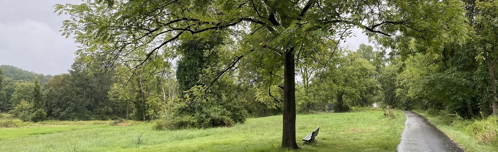 Stable Mill Trail 107 Reviews - EyJidWNrZXQiOiJhc3NldHMuYWxsdHJhaWxzLmNvbSIsImtleSI6InVwbG9hZHMvcGhvdG8vaW1hZ2UvNTE5MDcwNTIvOTIzYTQyMzIzNDJmMTBlNjZkMjY0MWNhY2VhNzU0MDUuanBnIiwiZWRpdHMiOnsidG9Gb3JtYXQiOiJqcGVnIiwicmVzaXplIjp7IndpZHRoIjoyMDQ0LCJoZWlnaHQiOjYyNCwiZml0IjoiY292ZXIifSwicm90YXRlIjpudWxsLCJqcGVnIjp7InRyZWxsaXNRdWFudGlzYXRpb24iOnRydWUsIm92ZXJzaG9vdERlcmluZ2luZyI6dHJ1ZSwib3B0aW1pc2VTY2FucyI6dHJ1ZSwicXVhbnRpc2F0aW9uVGFibGUiOjN9fX0=