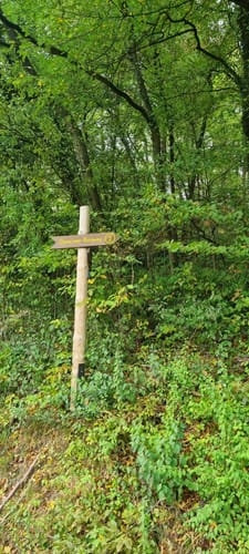 Datteröder Burgweg