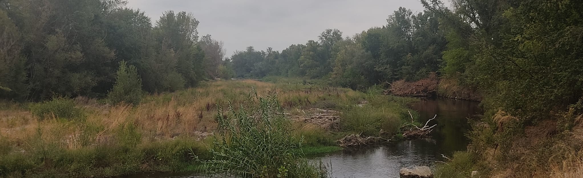 Zaragoza Luis Buñuel Water Park Ebro River Gallego River, Zaragoza