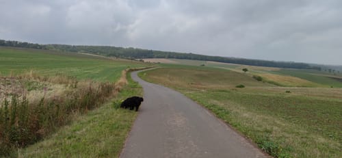 Rundwanderweg Freienhagen 5