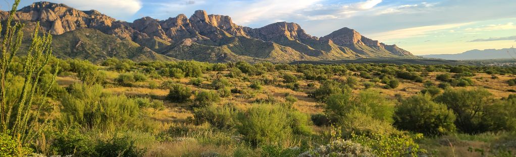 SAT 12/16 - SHUTTLE EDITION ::: Dawn Patrol @ 50-Year to Catalina State  Park (10am) #OldPuebloMTB, 50 Year Golder Ranch trailhead, Catalina  Foothills, December 16 2023