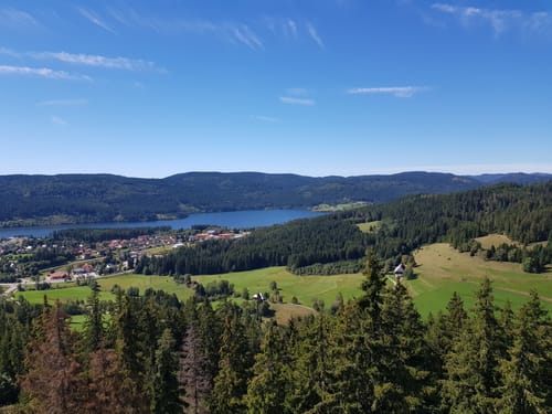 Rundweg zum Riesenbühlturm