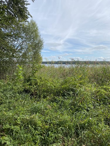 Alt Schwerin: Plauer Werder Runde