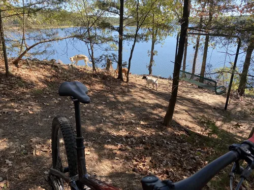 Best Hikes and Trails in Pine Ridge Park | AllTrails