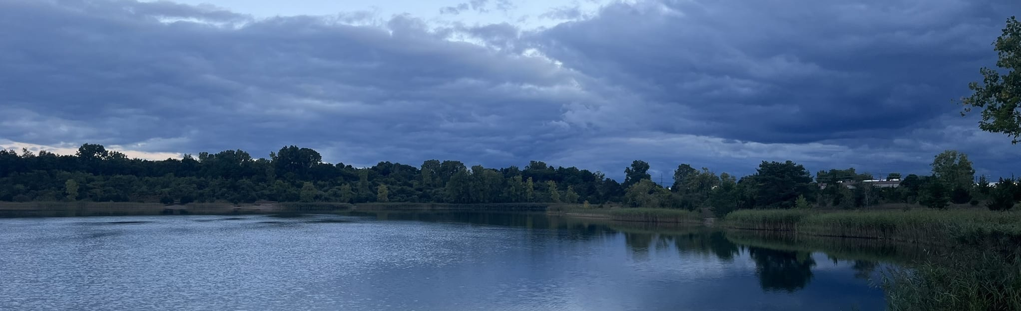 Trout Lake Loop 363 Reviews, Map Michigan AllTrails