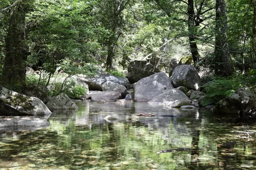 Best Hikes and Trails in PrunellidiFiumorbo AllTrails