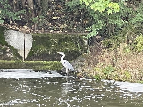 Von Höchst nach Bad Vilbel entlang der Nidda