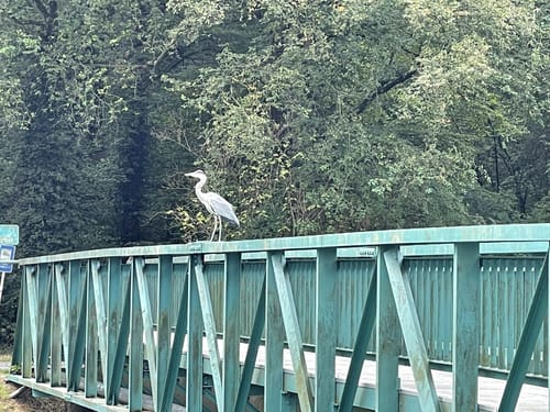 Von Höchst nach Bad Vilbel entlang der Nidda
