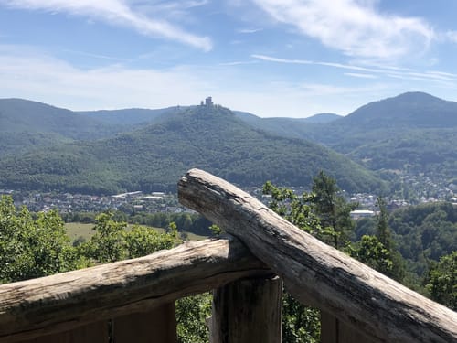 Wildsauweg