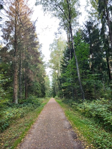 Rundweg Rantzauer Forst - Tangstedter Moor