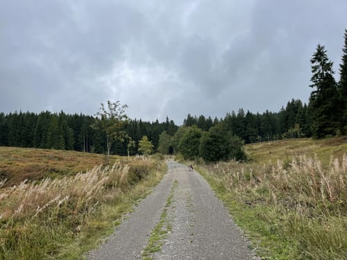 Trubelmattskopf