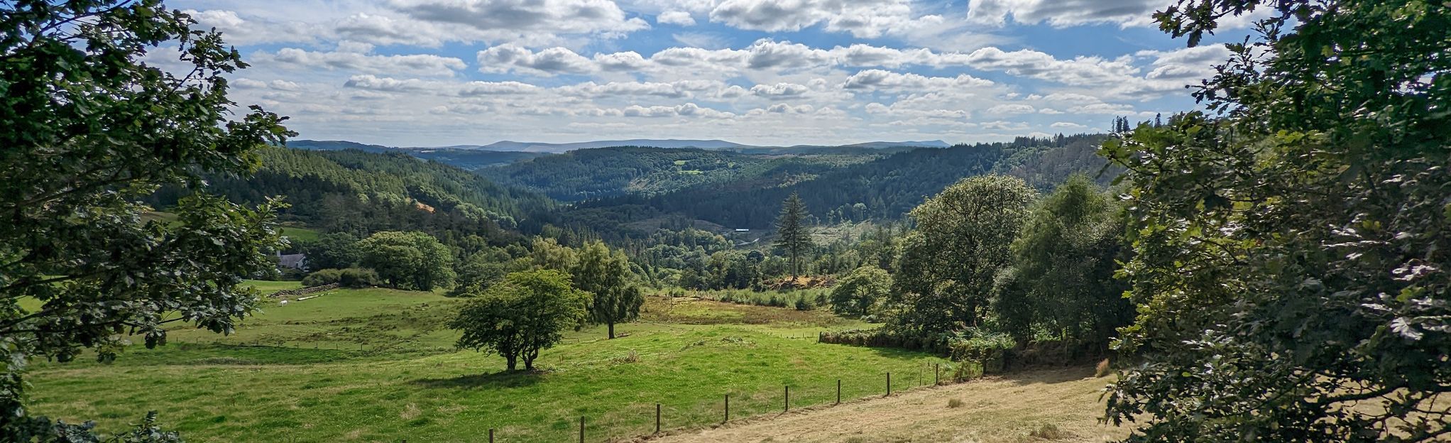 Betws Y Coed Gwydir Forest And Llyn Geirionydd Circular 192 Reviews Map Conwy Wales 