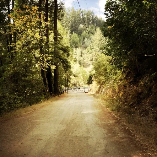 Best Hikes and Trails in Leo T. Cronin Fish Viewing