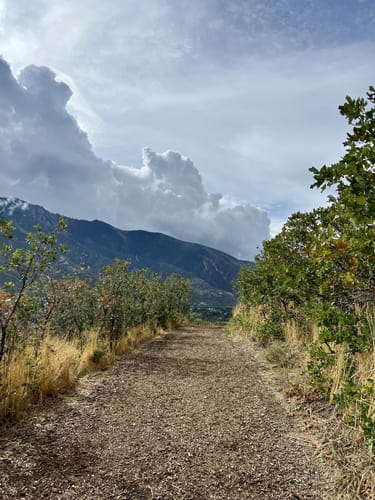 Best 10 Hikes and Trails in Dimple Dell Regional Park | AllTrails