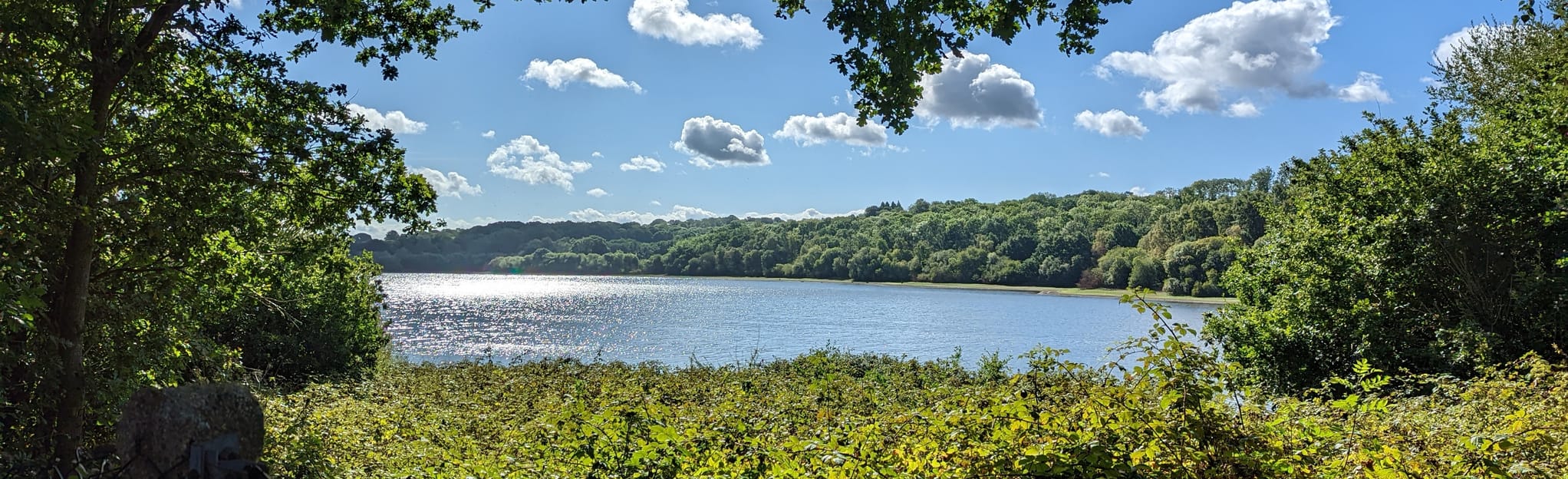 Sunnyside Weir Wood Reservoir Circular, West Sussex, England 18 Reviews, Map AllTrails