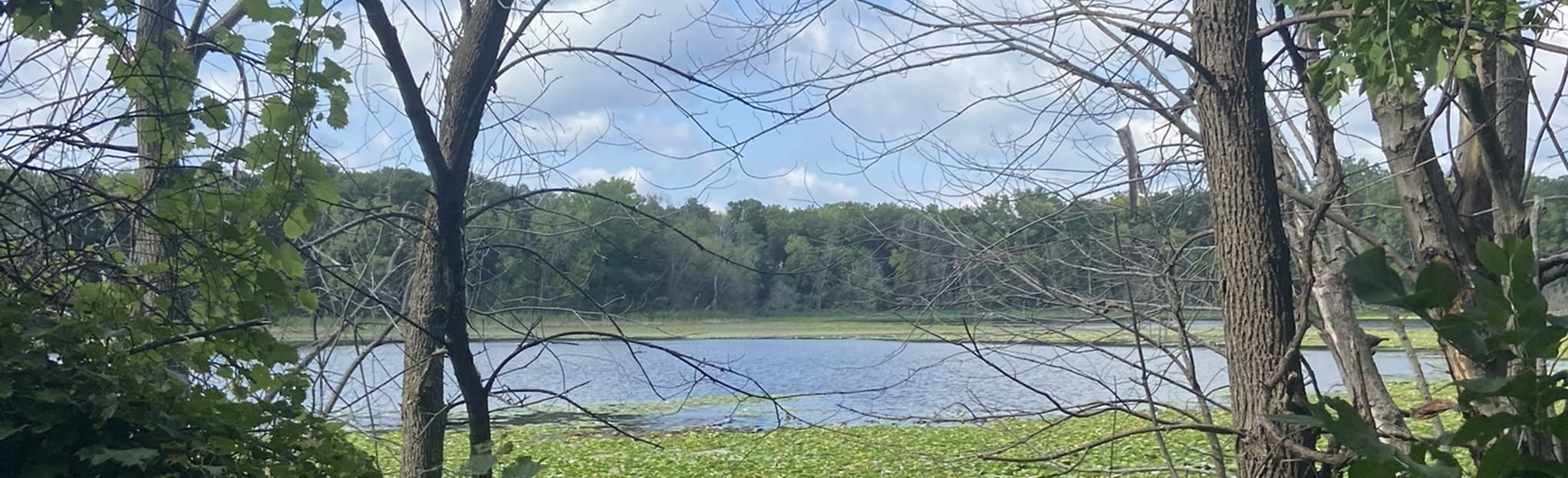Bryant Lake to Lone Lake Trail 239 Reviews, Map Minnesota AllTrails