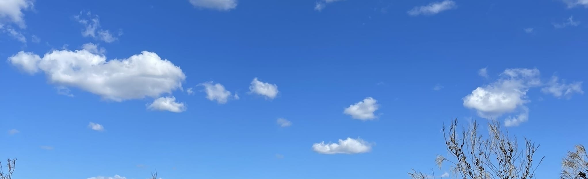 Slippery Dip, XC, Road to Nowhere, Deep Creek, and Power Lines Loop