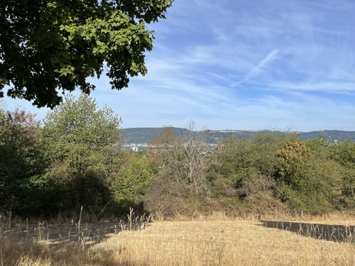 Trier Mariahof - Tiergartental - Brubacher Hof