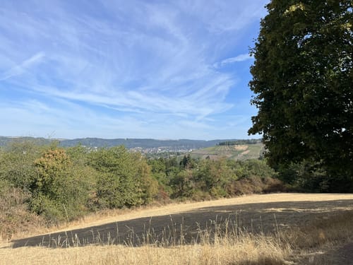 Trier Mariahof - Tiergartental - Brubacher Hof