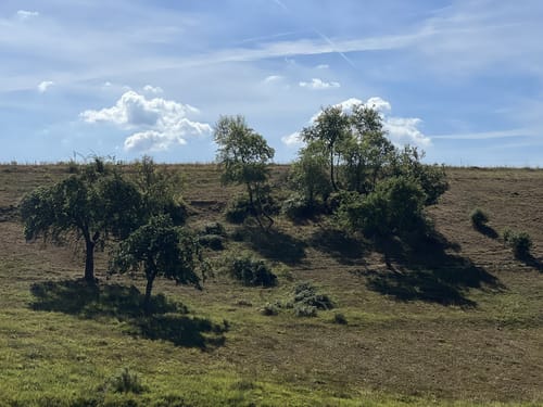 SK1 - Anx- und Brochenbacher Grubenweg