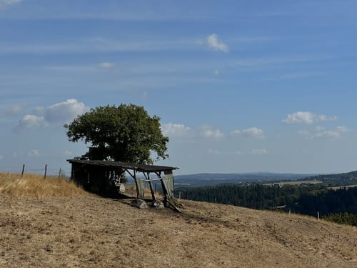 SK1 - Anx- und Brochenbacher Grubenweg
