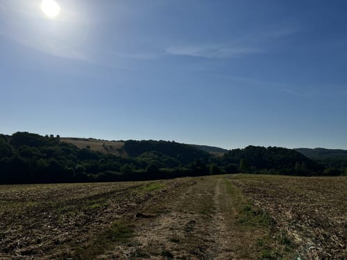 SK1 - Anx- und Brochenbacher Grubenweg