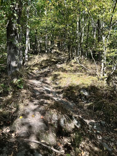 SK1 - Anx- und Brochenbacher Grubenweg