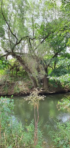 Schwaiger Schlössertour