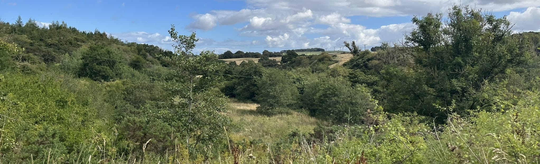 Linhouse Circuit, West Lothian, Scotland - 41 Reviews, Map | AllTrails