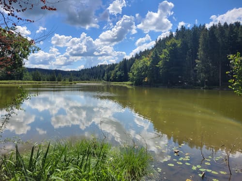 Thanninger Weiher Rundwanderweg
