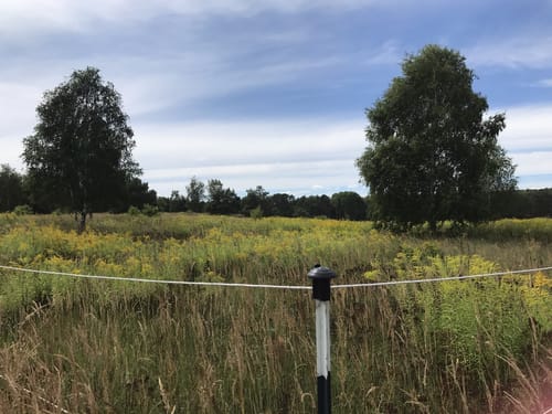 Rundwanderweg Töpchin