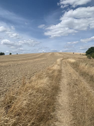 Teufelstour (Premiumwanderweg)