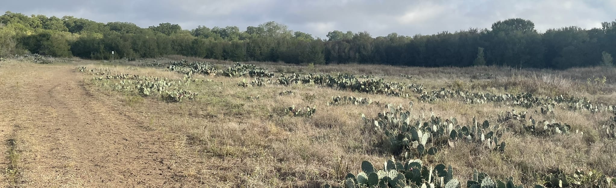 Onion Creek Metropolitan Park Texas AllTrails