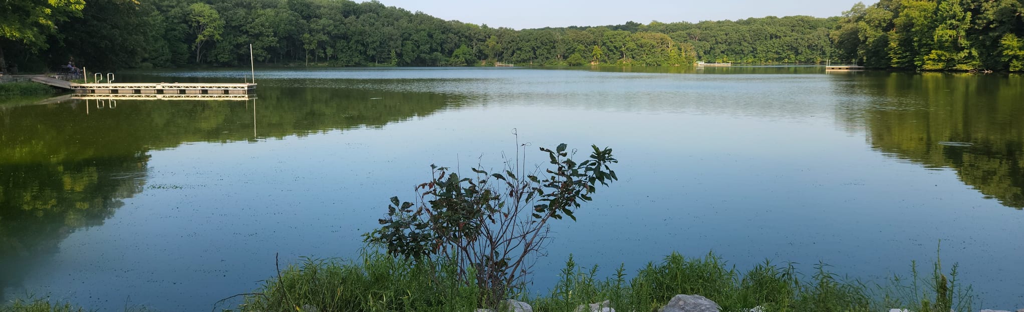 Beaver Dam Loop 122 Reviews, Map Illinois AllTrails