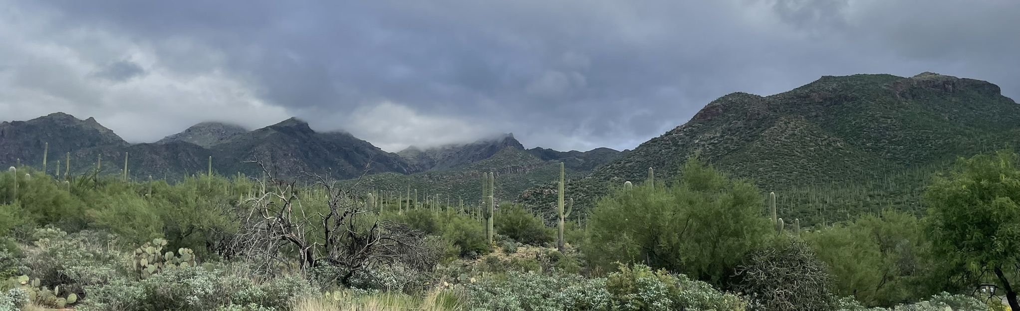 Sabino Walkway Loop Arizona 1 774 Reviews Map AllTrails   EyJidWNrZXQiOiJhc3NldHMuYWxsdHJhaWxzLmNvbSIsImtleSI6InVwbG9hZHMvcGhvdG8vaW1hZ2UvNTEwMzk0MjUvODhkYTMxYmQyNjRhYzQwNTM1YWUyNWM5MzZiNWU4NjguanBnIiwiZWRpdHMiOnsidG9Gb3JtYXQiOiJqcGVnIiwicmVzaXplIjp7IndpZHRoIjoyMDQ0LCJoZWlnaHQiOjYyNCwiZml0IjoiY292ZXIifSwicm90YXRlIjpudWxsLCJqcGVnIjp7InRyZWxsaXNRdWFudGlzYXRpb24iOnRydWUsIm92ZXJzaG9vdERlcmluZ2luZyI6dHJ1ZSwib3B0aW1pc2VTY2FucyI6dHJ1ZSwicXVhbnRpc2F0aW9uVGFibGUiOjN9fX0=